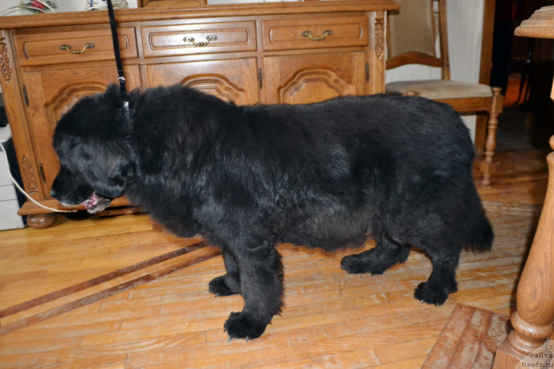 Фотография № 146477