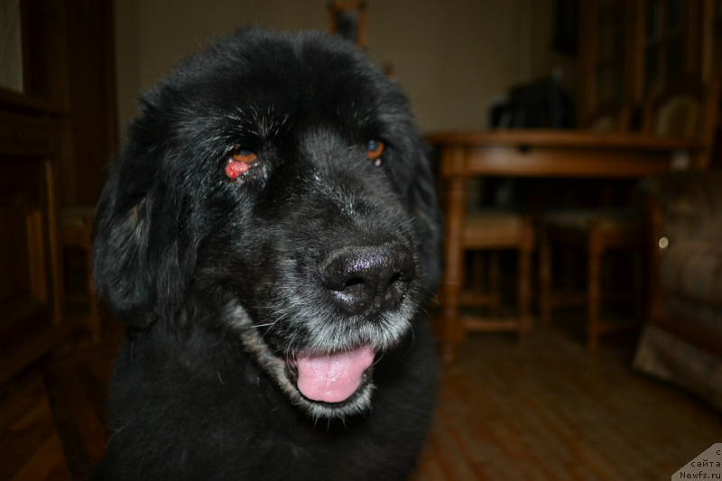 Фотография № 146480