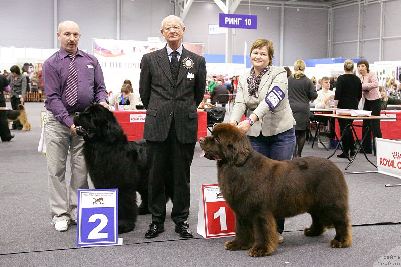 Фотография № 146485