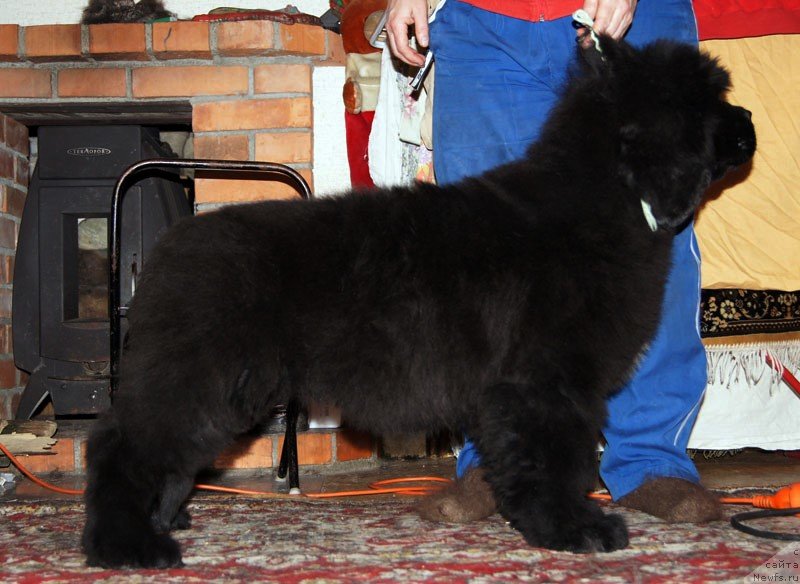 Фотография № 146490