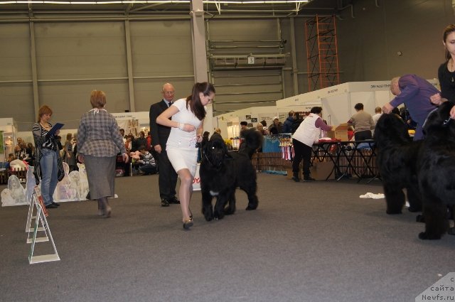 Фотография № 146522