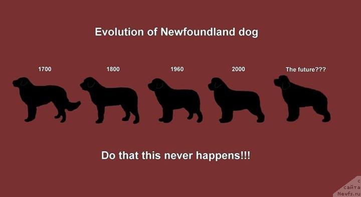 Фотография № 146559