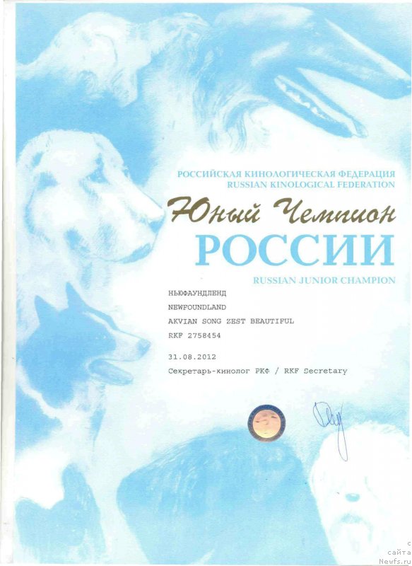 Фотография № 146598