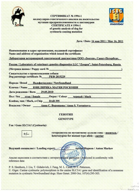 Фото: ньюфаундленд Ювелирика Магия Роскоши