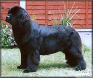 Фотография № 146601