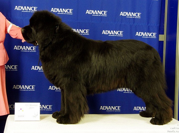 Фотография № 146602