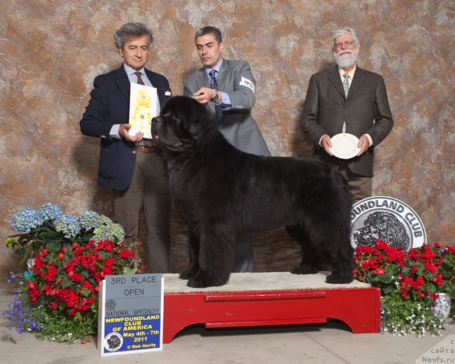 Фотография № 146605