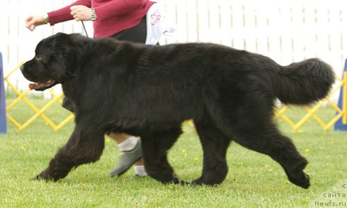 Фотография № 146607