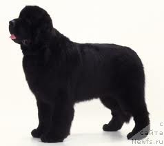 Фотография № 146608