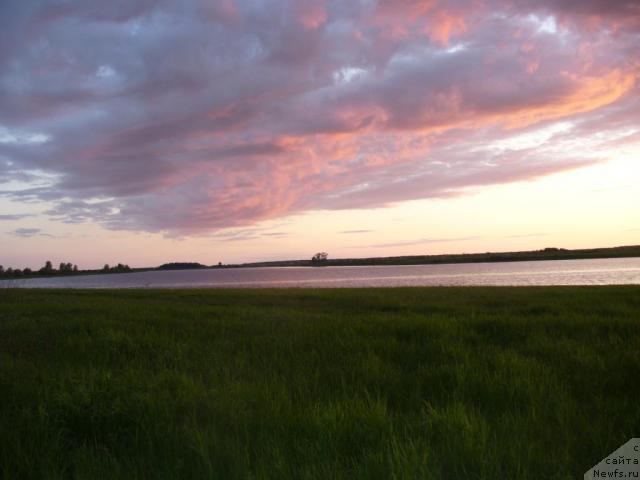 Фотография № 14661