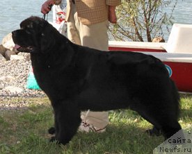 Фотография № 146610