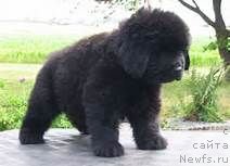 Фотография № 146612