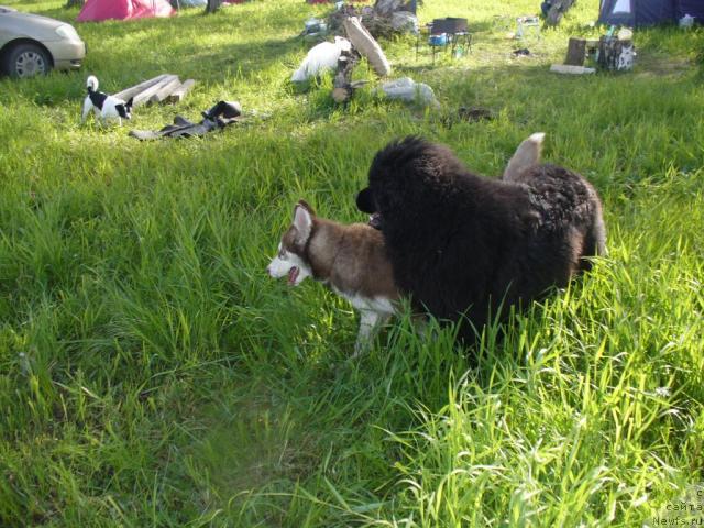 Фотография № 14662