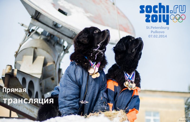 Фотография № 146626