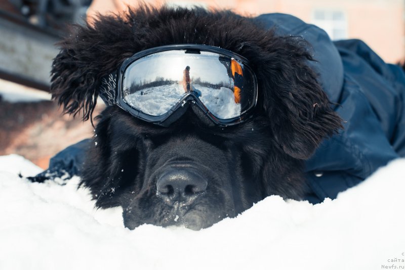 Фотография № 146627