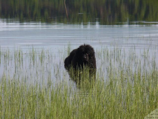 Фотография № 14663