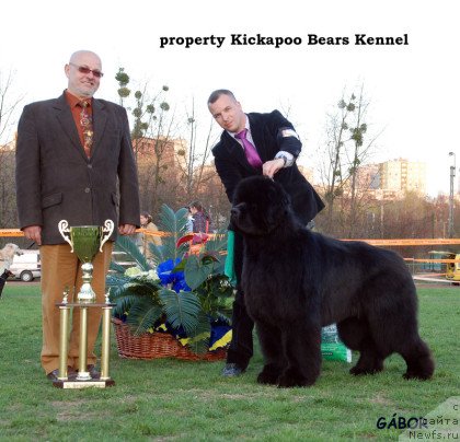 Фотография № 146630