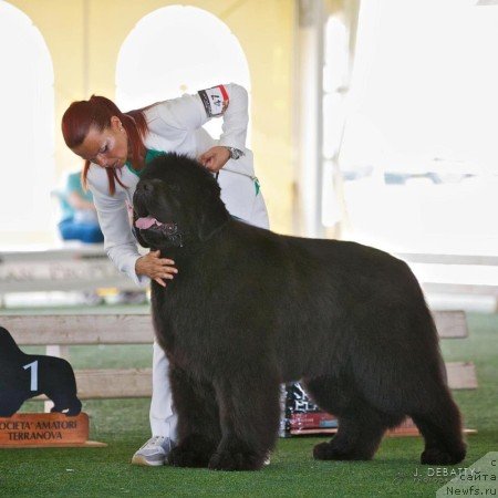 Фотография № 146631