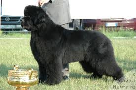 Фотография № 146632