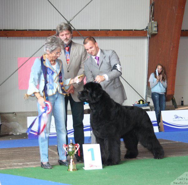 Фотография № 146633