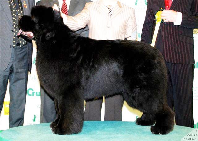 Фотография № 146634