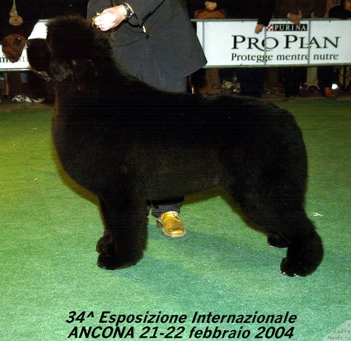 Фотография № 146635