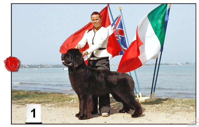 Фотография № 146638