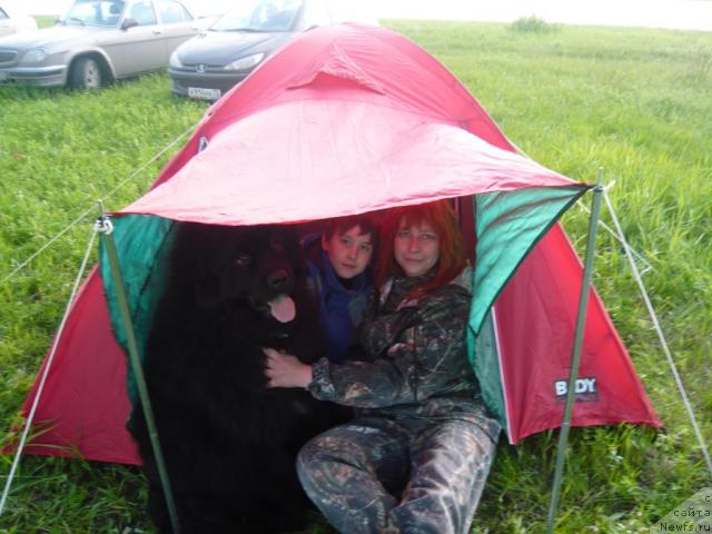 Фотография № 14664