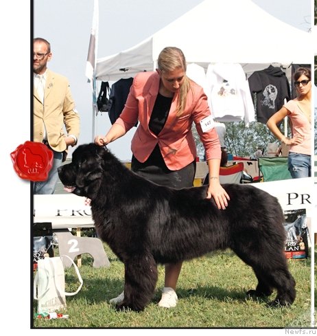 Фотография № 146640