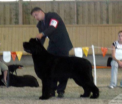 Фотография № 146646