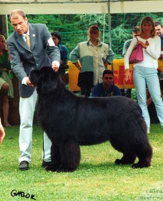 Фотография № 146647