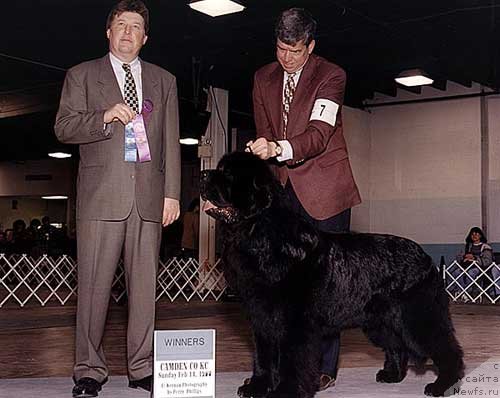 Фотография № 146649