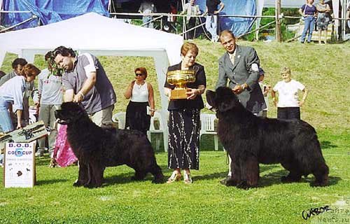 Фотография № 146650