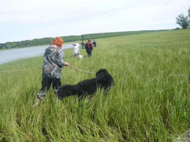 Фотография № 14666