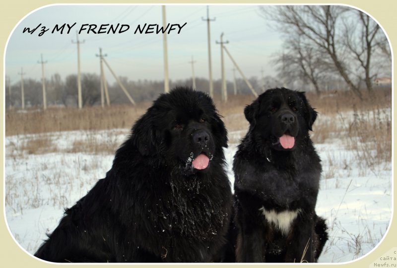 Фотография № 146667