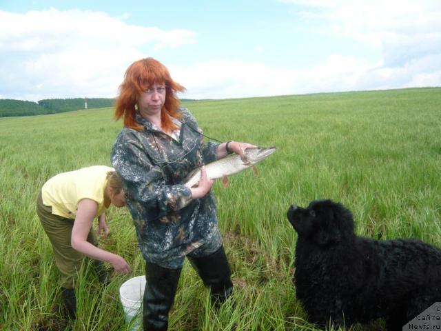 Фотография № 14668