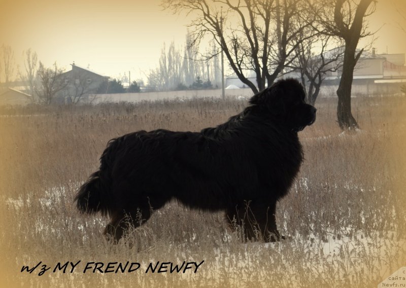 Фотография № 146681