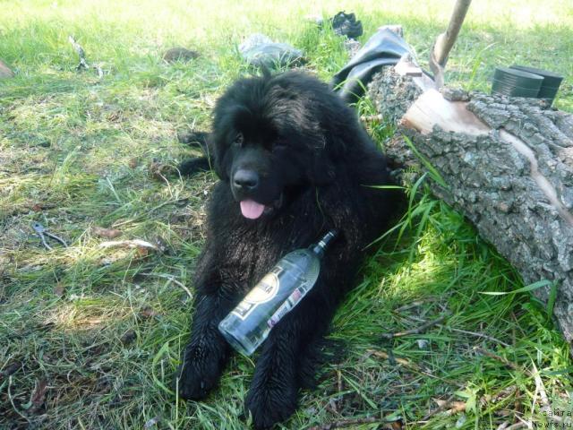 Фотография № 14671