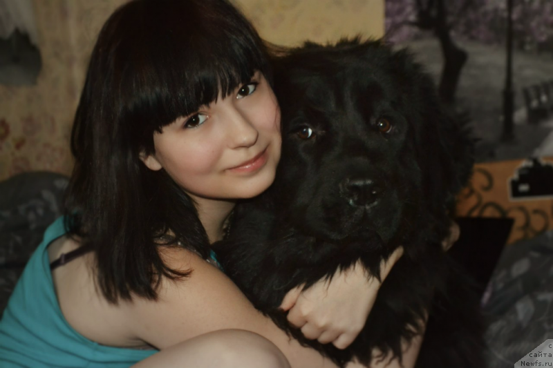 Фото: Жанна Шмелёва, ньюфаундленд Лепесток Лилии