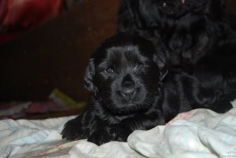 Фотография № 146719