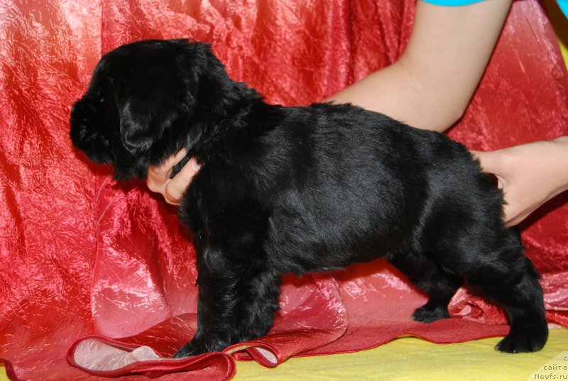 Фотография № 146720