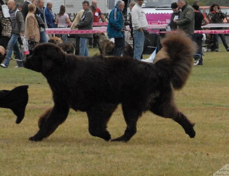 Фотография № 146737