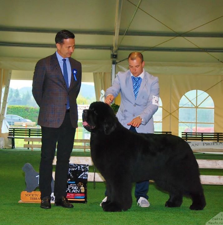 Фотография № 146739