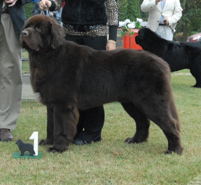 Фотография № 146741