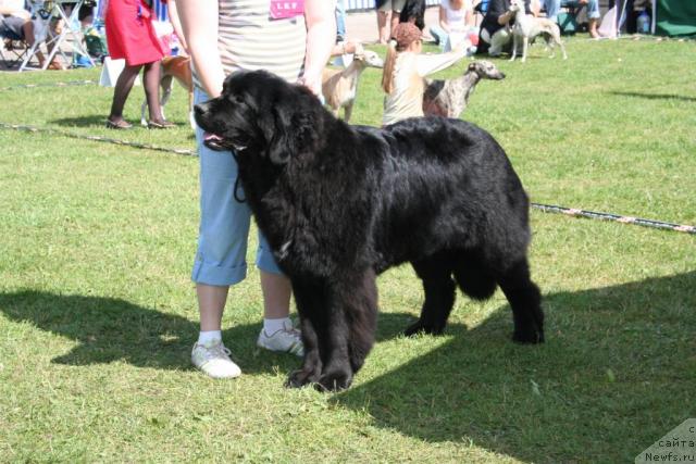 Фотография № 14675