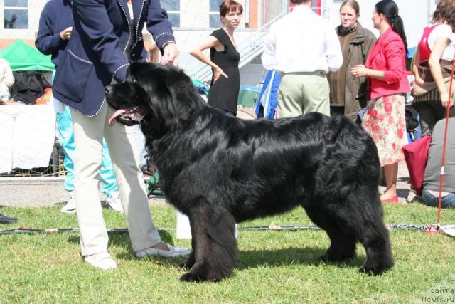 Фотография № 14677