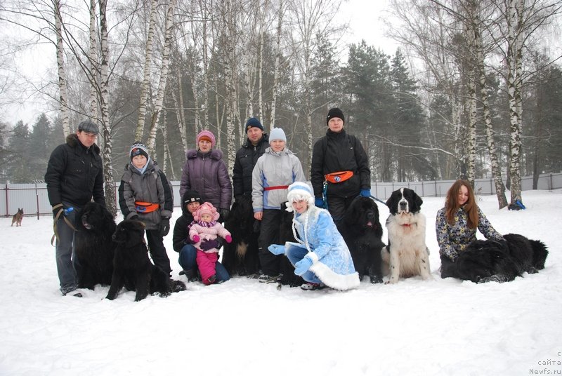 Фотография № 146773