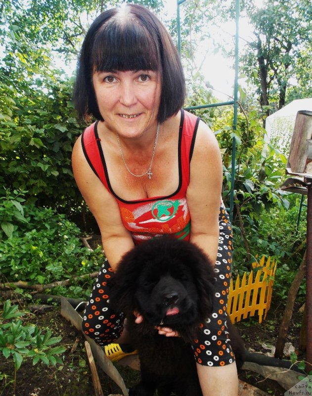 Фото: Ирина Хаирова, ньюфаундленд Лепесток Лилии