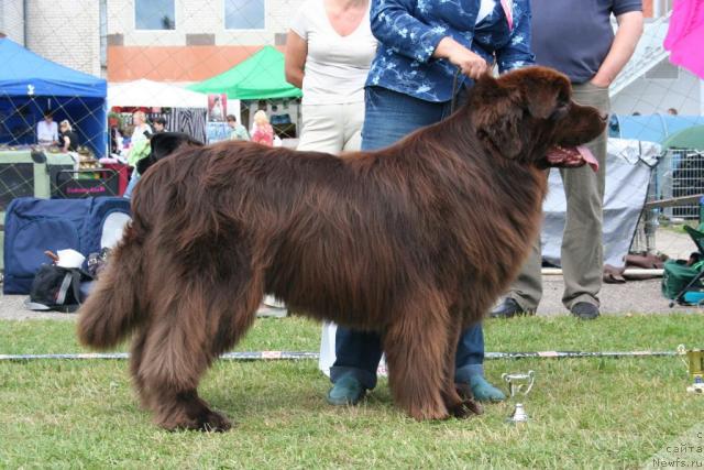 Фотография № 14678