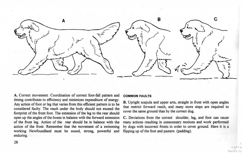 Фотография № 146790